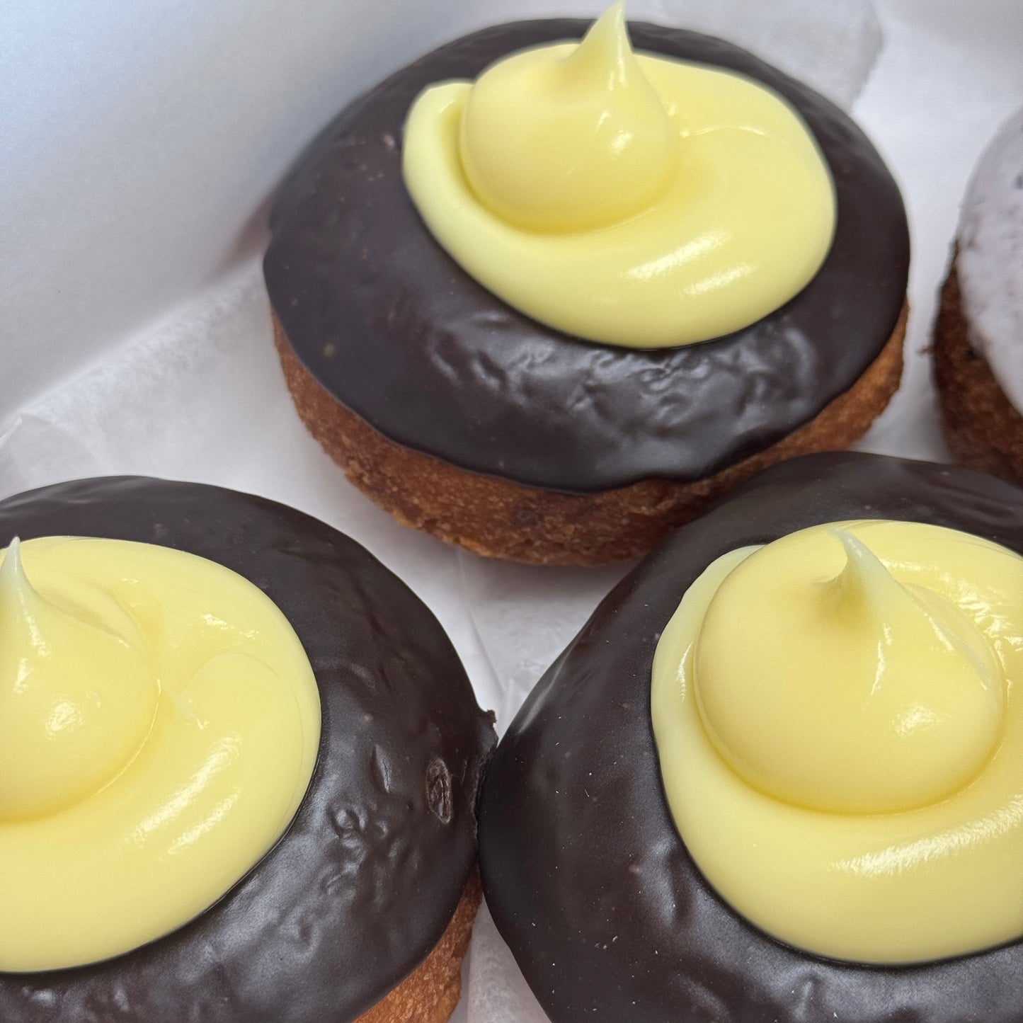 Papas Boston Crème