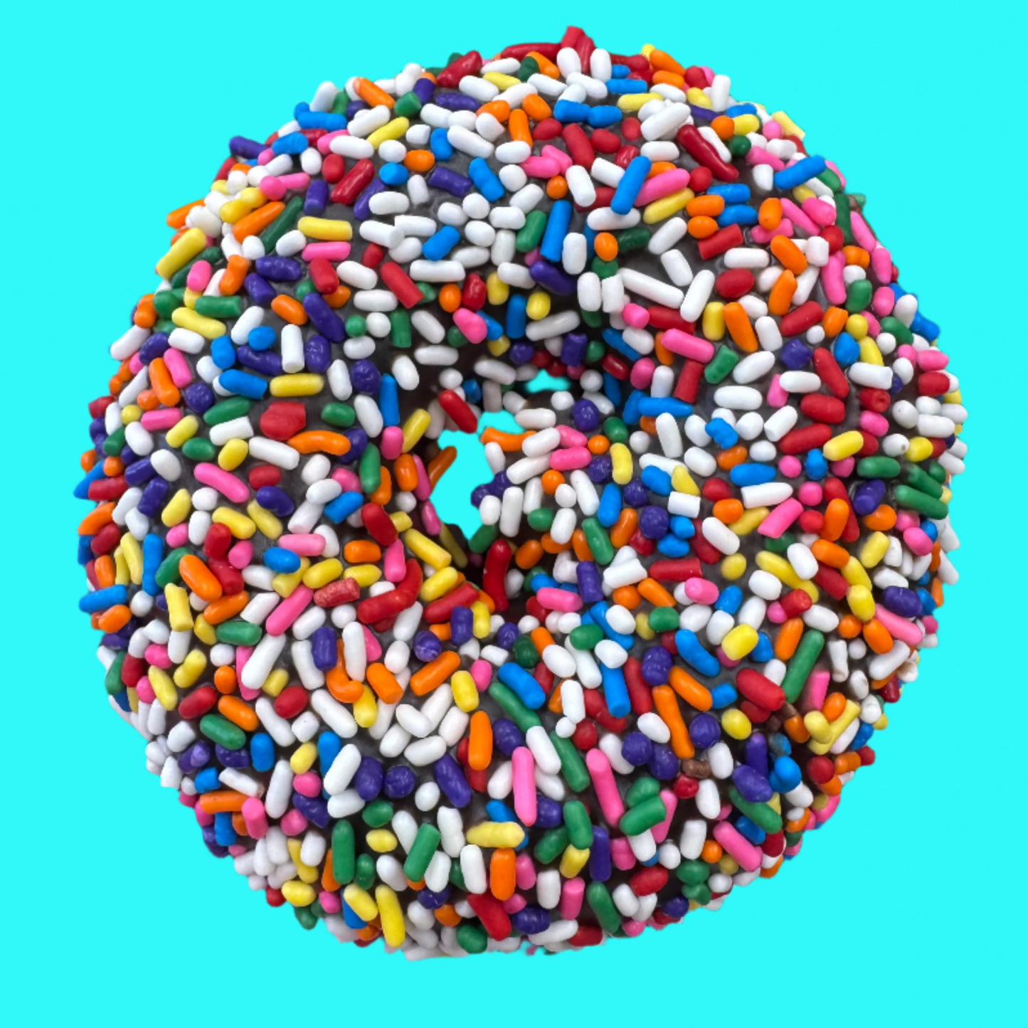 Chocolate Iced with Sprinkles